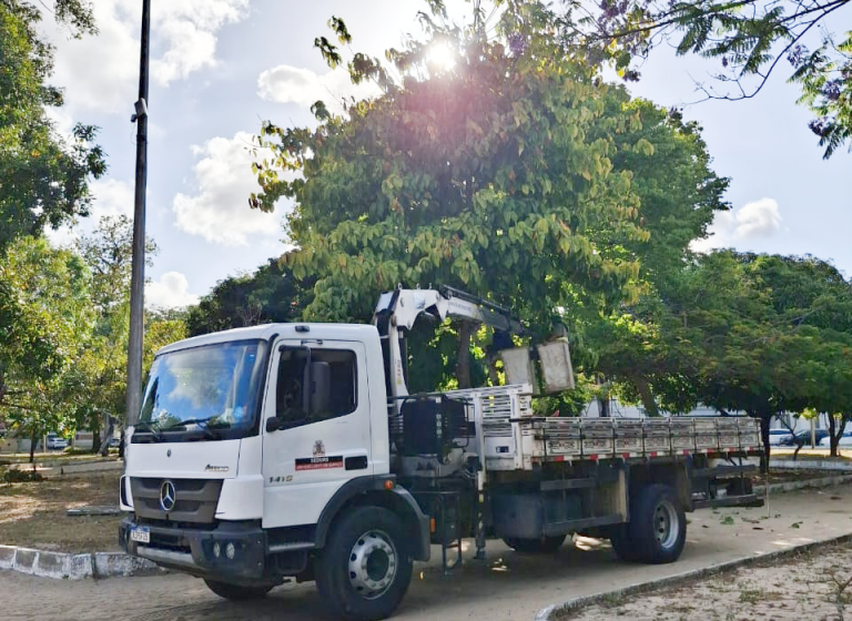  Sedurb realiza quase 1.200 podas de árvores na Capital, em novembro