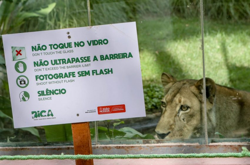  Parque Zoobotânico Arruda Câmara volta a receber público com novas medidas de proteção