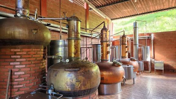  Areia obtém selo de origem e fortalece proteção da cachaça tradicional