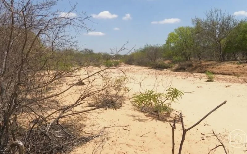  Oito cidades da Paraíba têm situação de emergência decretada por causa da estiagem
