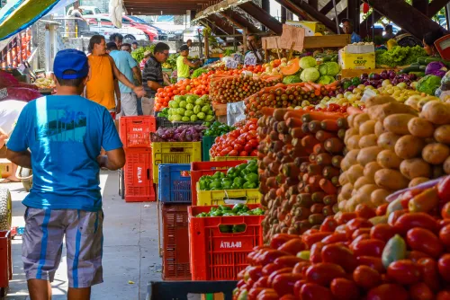  Prefeitura Municipal assegura funcionamento de serviços essenciais durante o feriadão de Ano Novo