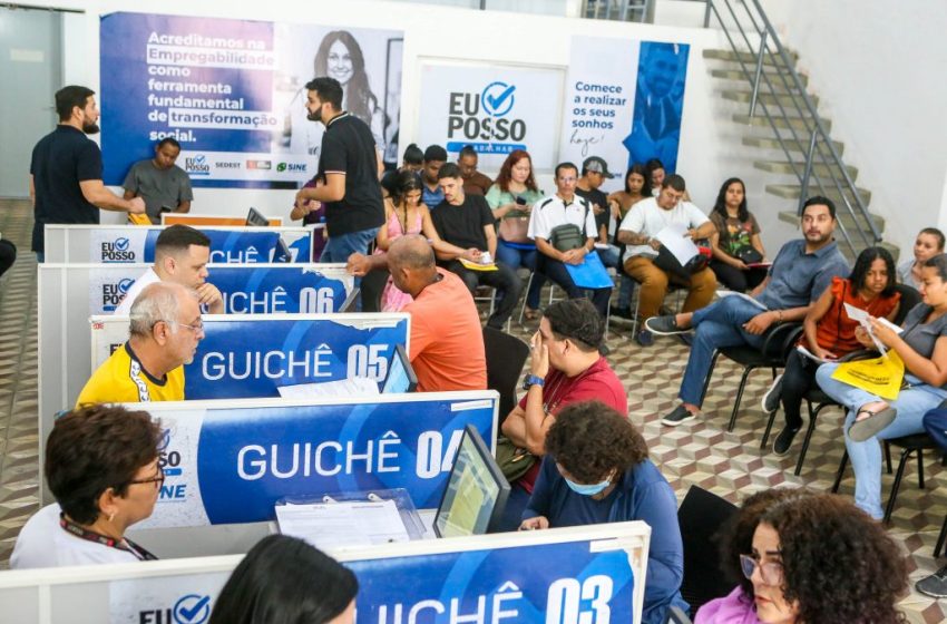  Sine-JP abre 533 vagas de emprego para iniciantes e profissionais com experiência