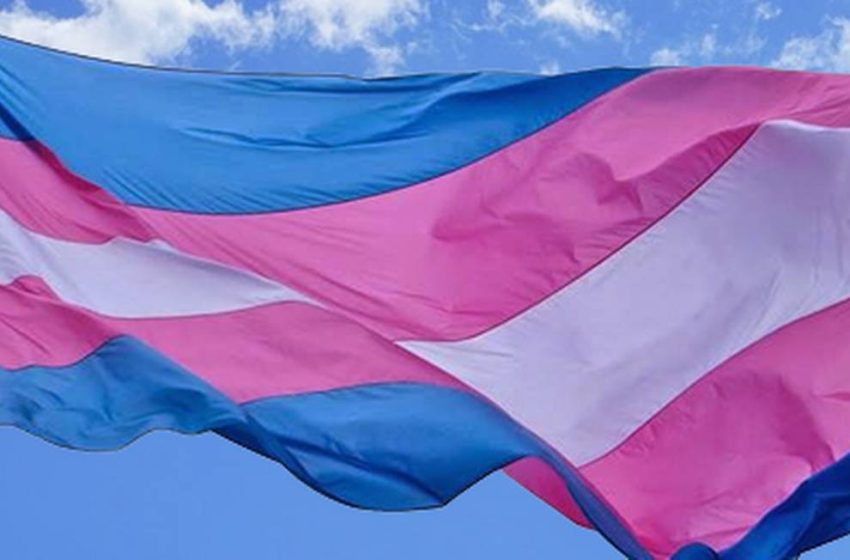  Com 567 atendimentos em 2025, Defensoria garante gratuidade e dignidade na retificação de documentos para pessoas trans