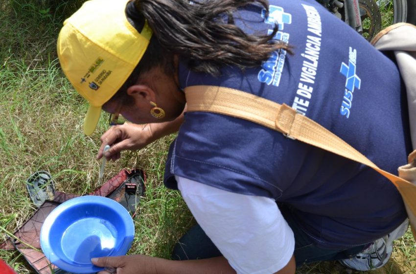  Secretaria de Saúde de João Pessoa alerta para intensificação da prevenção contra o Aedes aegypti