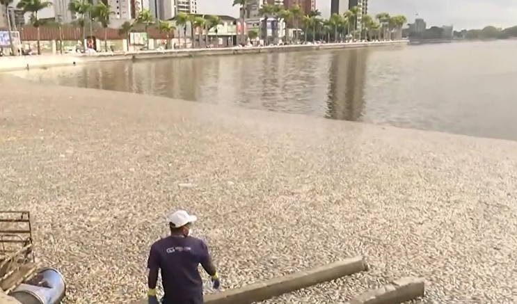  Prefeitura de Campina Grande atribui mau cheiro e morte de peixes no Açude Velho a fenômeno natural e anuncia medidas emergenciais