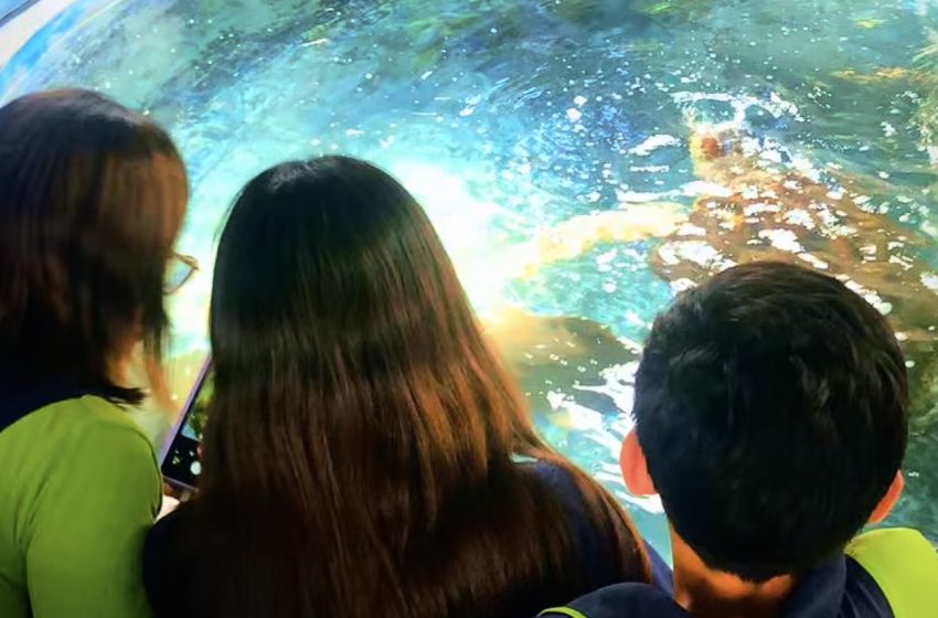  Aquário Paraíba transforma visitas escolares em experiência de educação ambiental