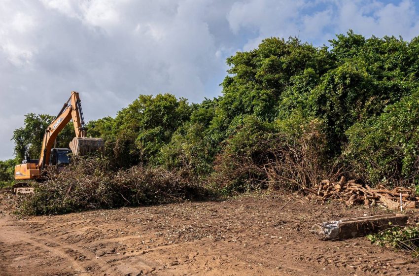  MPPB entra com ação para suspender obras da Orla Sul em falésia de Gramame