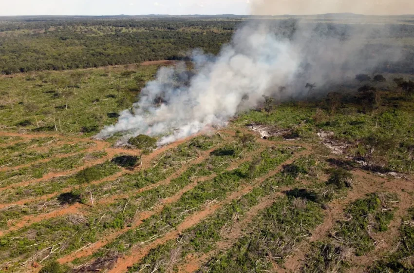  Nova Lei de Licenciamento Ambiental entra em vigor e enfrenta questionamentos no STF