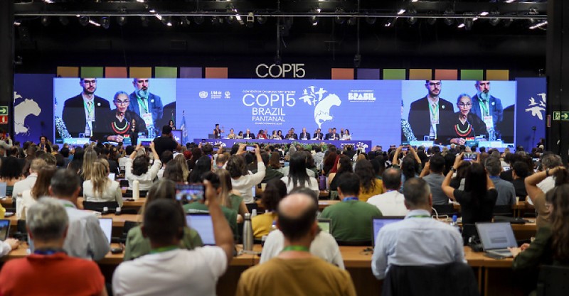  COP15 encerra em Campo Grande com avanços inéditos na proteção de espécies migratórias