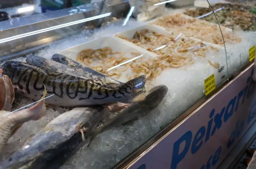  Cuidados com o consumo de pescado na Semana Santa ajudam a evitar intoxicações, alerta SES-RJ
