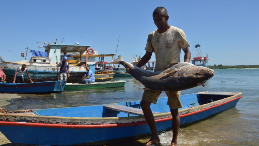  Seguro-defeso: MTE libera R$ 179,7 milhões para mais de 110 mil pescadores nesta terça (24)