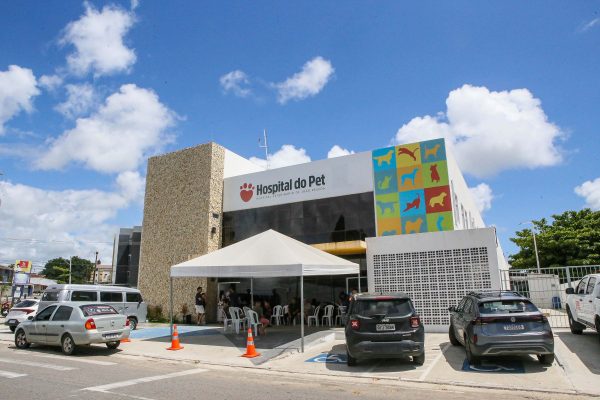  No Dia Nacional dos Animais, Prefeitura de João Pessoa reforça importância da rede de proteção
