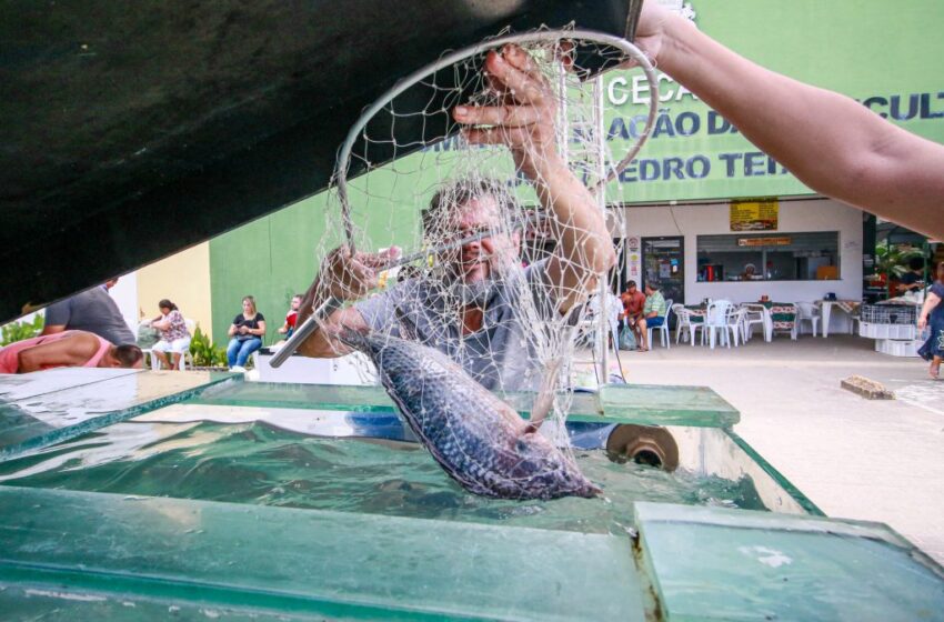  Prefeitura Municipal promove Semana do Pescado na Cecaf entre 1º e 4 de abril