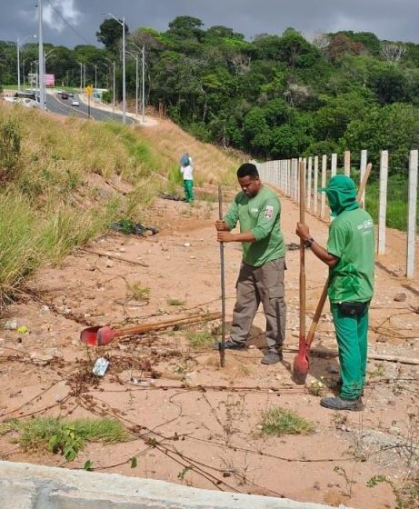  Secretaria de Meio Ambiente em parceria com o TJPB realizam plantio de 3 mil mudas