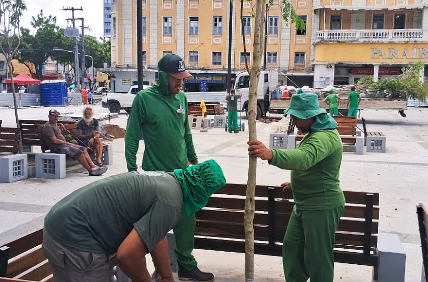  João Pessoa marca Dia da Conscientização Climática com plantio de árvores no Centro Histórico