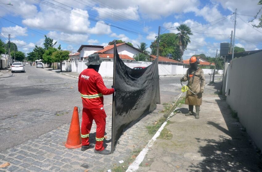  Emlur intensifica limpeza e reforça campanhas de conscientização da população