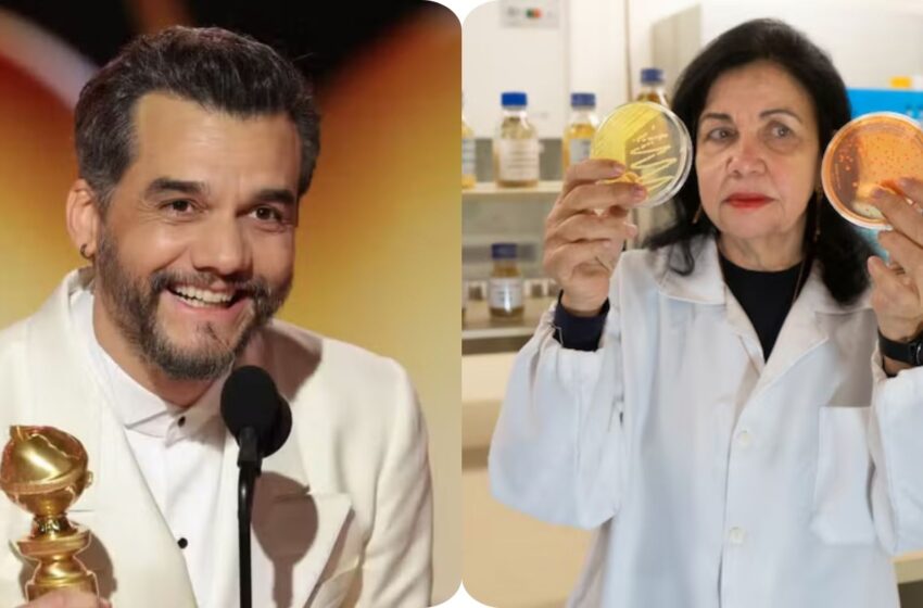  Wagner Moura e pesquisadora Mariangela Hungria entram na lista das 100 pessoas mais influentes do mundo da revista Time