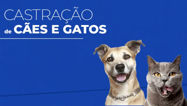  João Pessoa inicia inscrições para castração gratuita de cães e gatos no Centro de Controle de Zoonoses