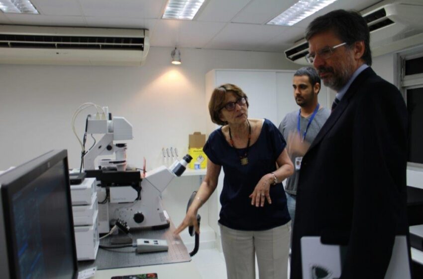  Novo laboratório da Unifesp aposta em tecnologia multiômica para transformar diagnóstico de câncer