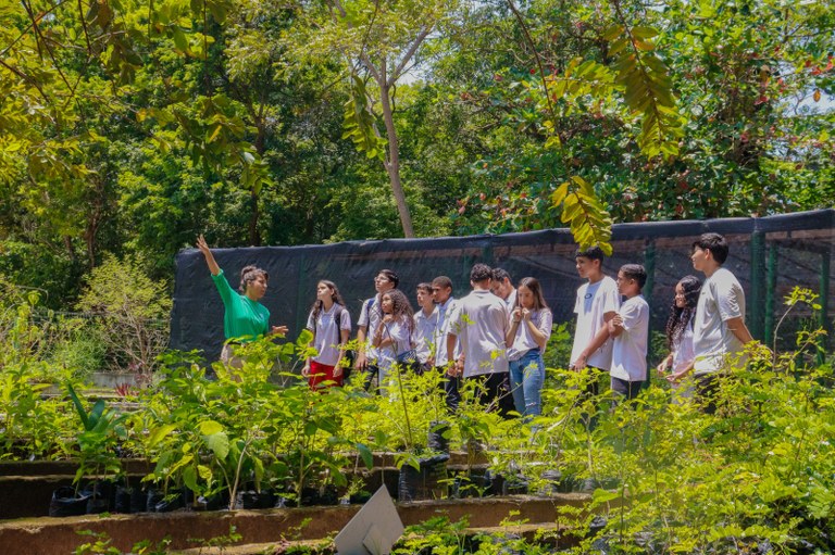  Dia Nacional da Botânica será marcado por programação educativa no Jardim Botânico Benjamin Maranhão, em João Pessoa