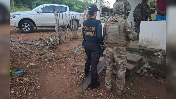  Operação Corte Profundo mira cultivo e tráfico de maconha em quatro estados do Nordeste