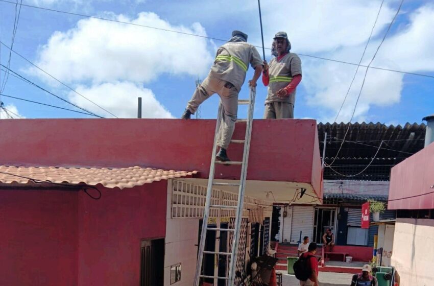  Sedurb realiza serviços de manutenção em shoppings populares, mercados públicos, cemitérios e Cecaf