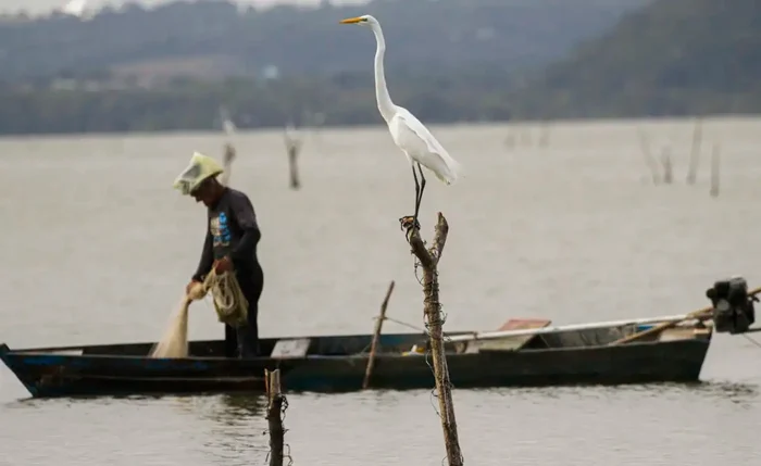  Novas regras do seguro-defeso buscam ampliar controle e garantir pagamento a pescadores artesanais