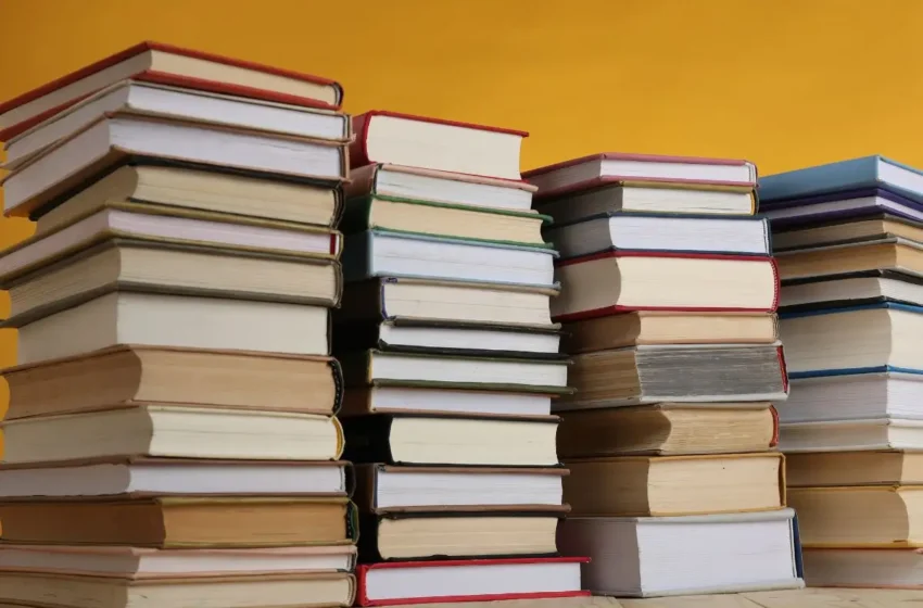  Plano Nacional do Livro e da Leitura entra em vigor nesta quarta-feira (29) com novas metas para a próxima década