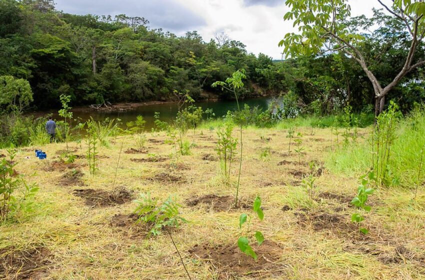  Parque Serrinha do Paranoá, no DF não inclui área de 716 hectares ligada ao BRB e mantém preocupação ambiental