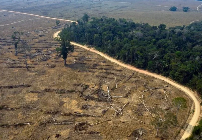  Desmatamento no Brasil cai em 2025, mas país ainda perde quase 1 milhão de hectares de vegetação nativa