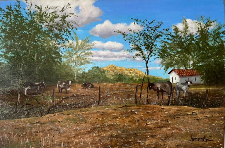  Homero Sá leva o Sertão nordestino à Estação Cabo Branco em nova exposição