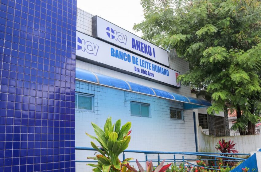  Instituto Cândida Vargas promove workshop e celebra Dia Mundial da Doação de Leite Humano
