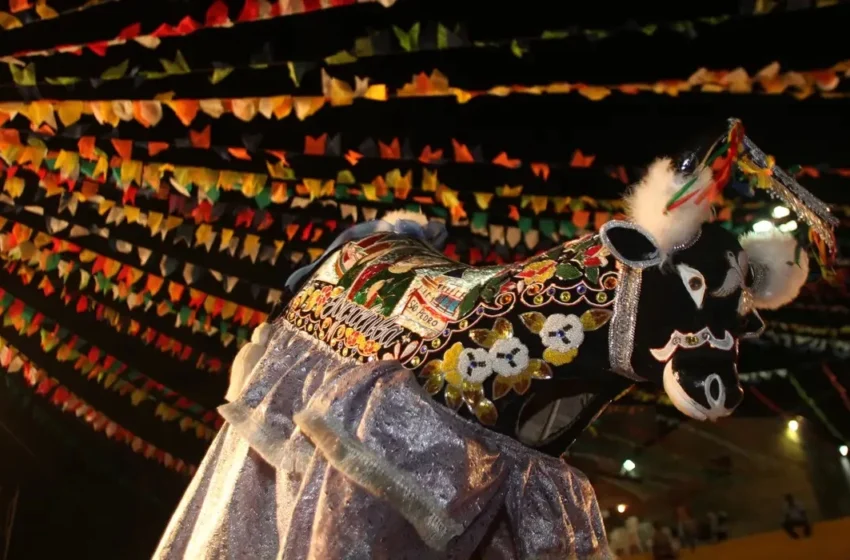  Governo Federal lança política nacional para proteger e valorizar culturas tradicionais e populares
