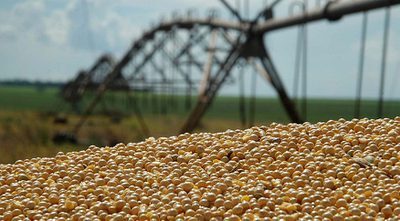  PIB do Brasil cresce 1,1% no 1º trimestre de 2026 e agropecuária impulsiona economia