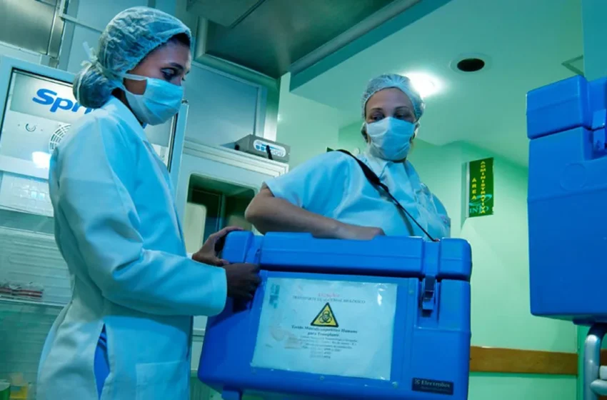  Brasil bate recorde de transplantes em 2025 com 31 mil procedimentos realizados pelo SUS