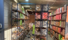  Vendas do comércio da Paraíba crescem 5,1% em março e mantêm 26 meses de alta consecutiva