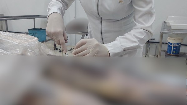  UFPB registra aumento nas doações de corpos para ensino e pesquisa em Medicina