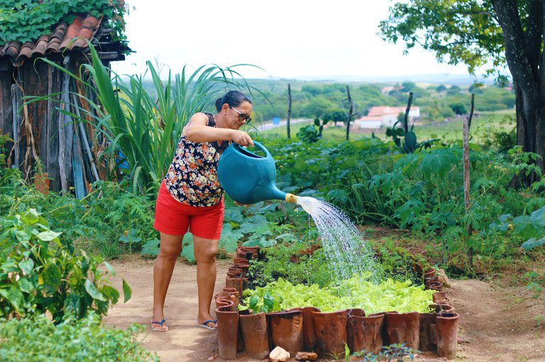  Há 23 anos, PAA promove acesso à alimentação e geração de renda no campo