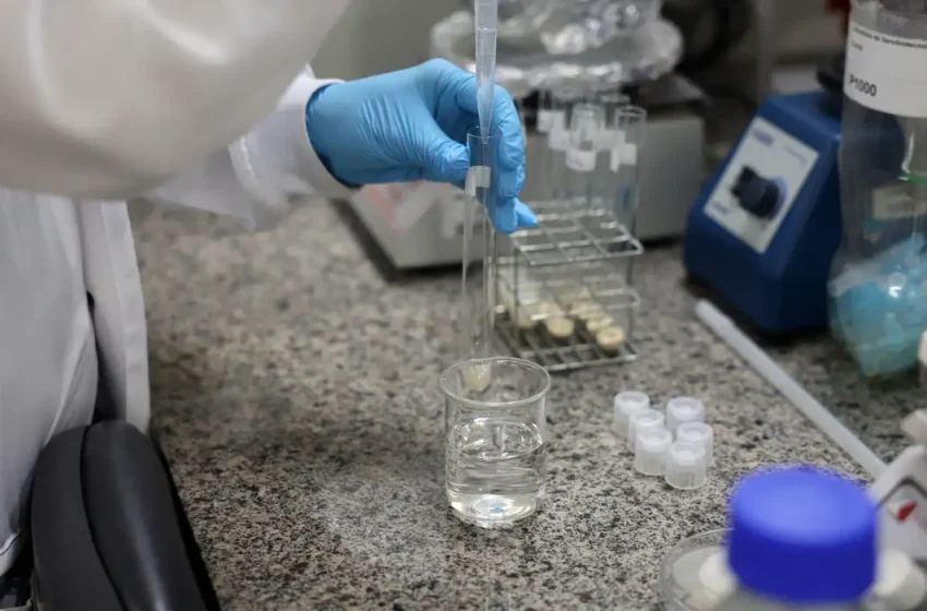  MCTI estabelece diretrizes para fortalecer pesquisa, inovação e avanço tecnológico até 2034