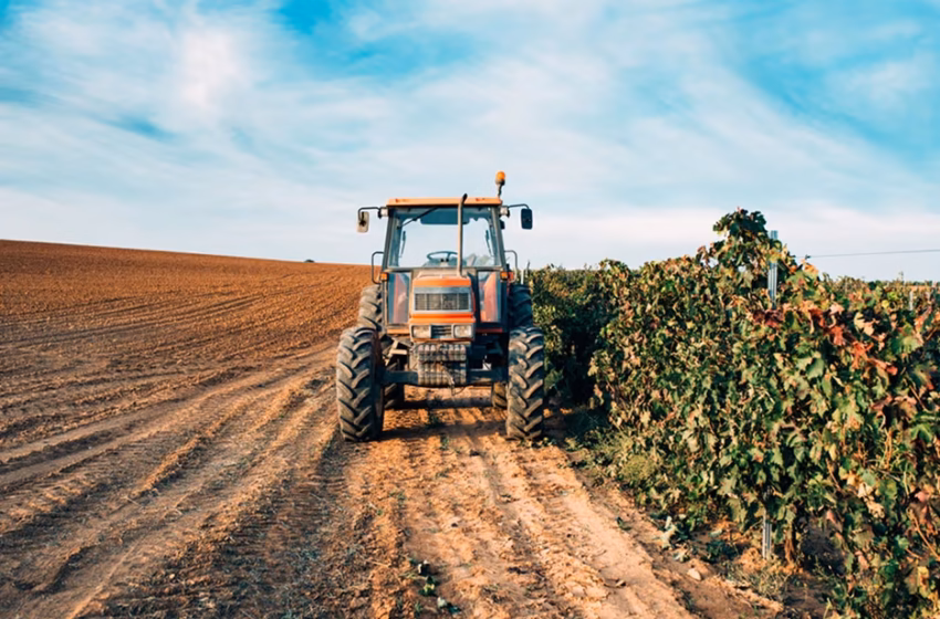  Finep lança programa de R$ 220 milhões para impulsionar inovação na agricultura familiar e na aquicultura