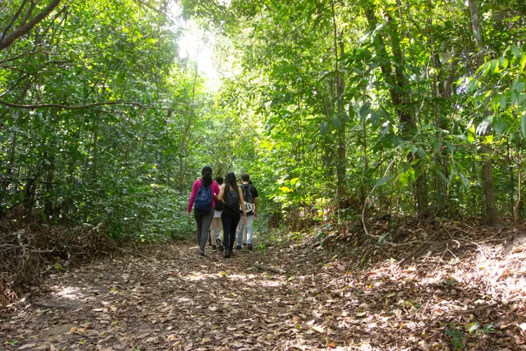  Unidades de Conservação da Paraíba promovem programação especial do “Um Dia no Parque” com atividades ambientais