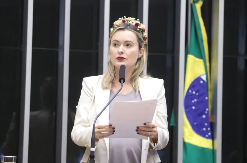  PL apresenta projeto para barrar supersalários em comitê da reforma tributária