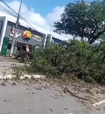  Árvore cai na Avenida Epitácio Pessoa, atinge carro e provoca bloqueio no trânsito em João Pessoa